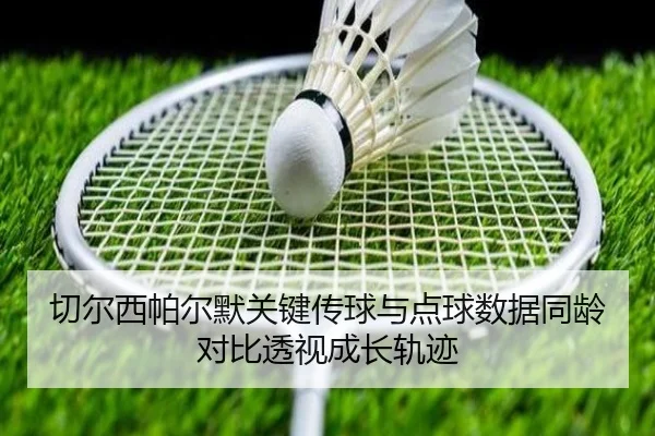 切尔西帕尔默关键传球与点球数据同龄对比透视成长轨迹